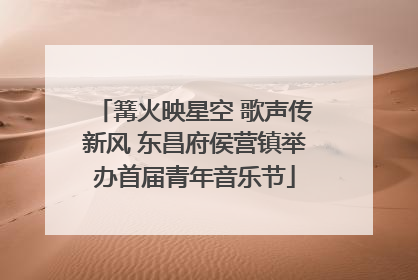 篝火映星空 歌声传新风 东昌府侯营镇举办首届青年音乐节
